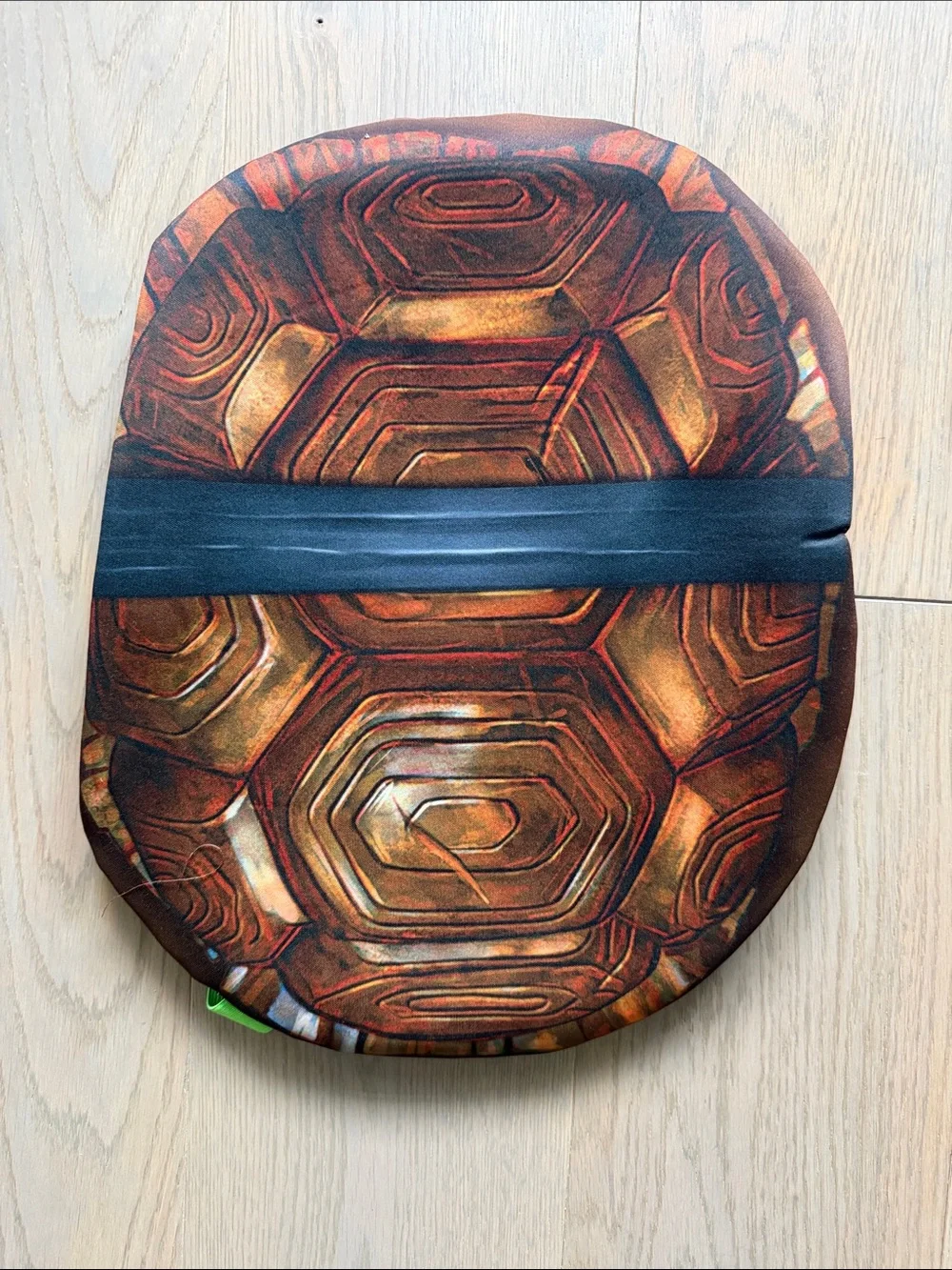 Teenage Mutant Ninja Turtles Leo Green Kids Costume